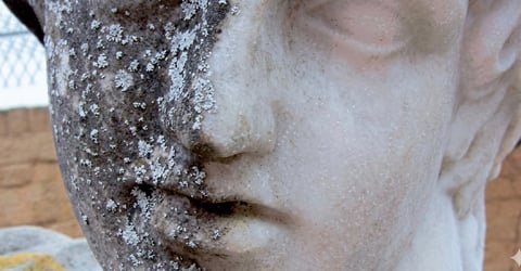 Close-up of a weathered stone or marble sculptured face covered with dirt and lichen