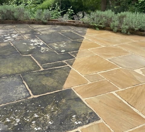 Patio with two-tone stone paving - dark slate tiles on left, warm tan sandstone on right, bordered by green garden shrubbery